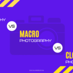 micro photography vs macro photography vs closeup photography