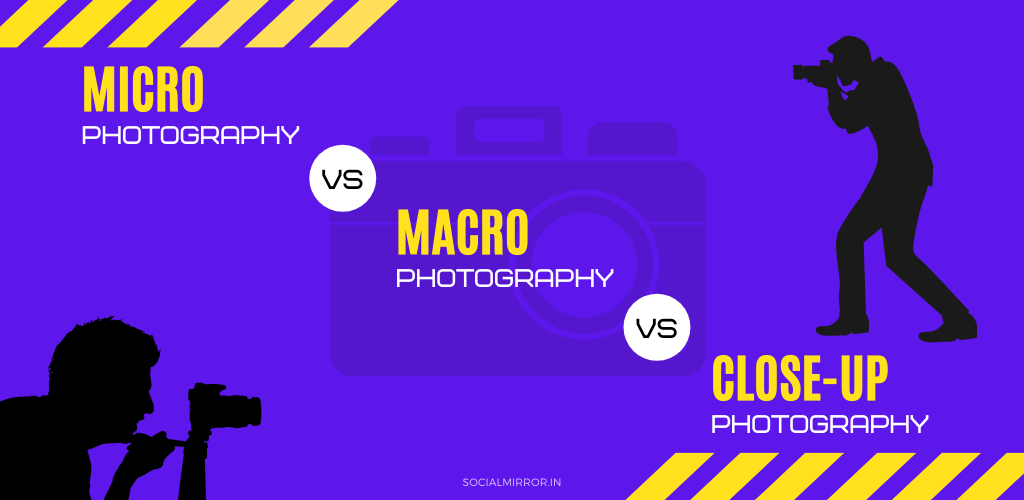 micro photography vs macro photography vs closeup photography