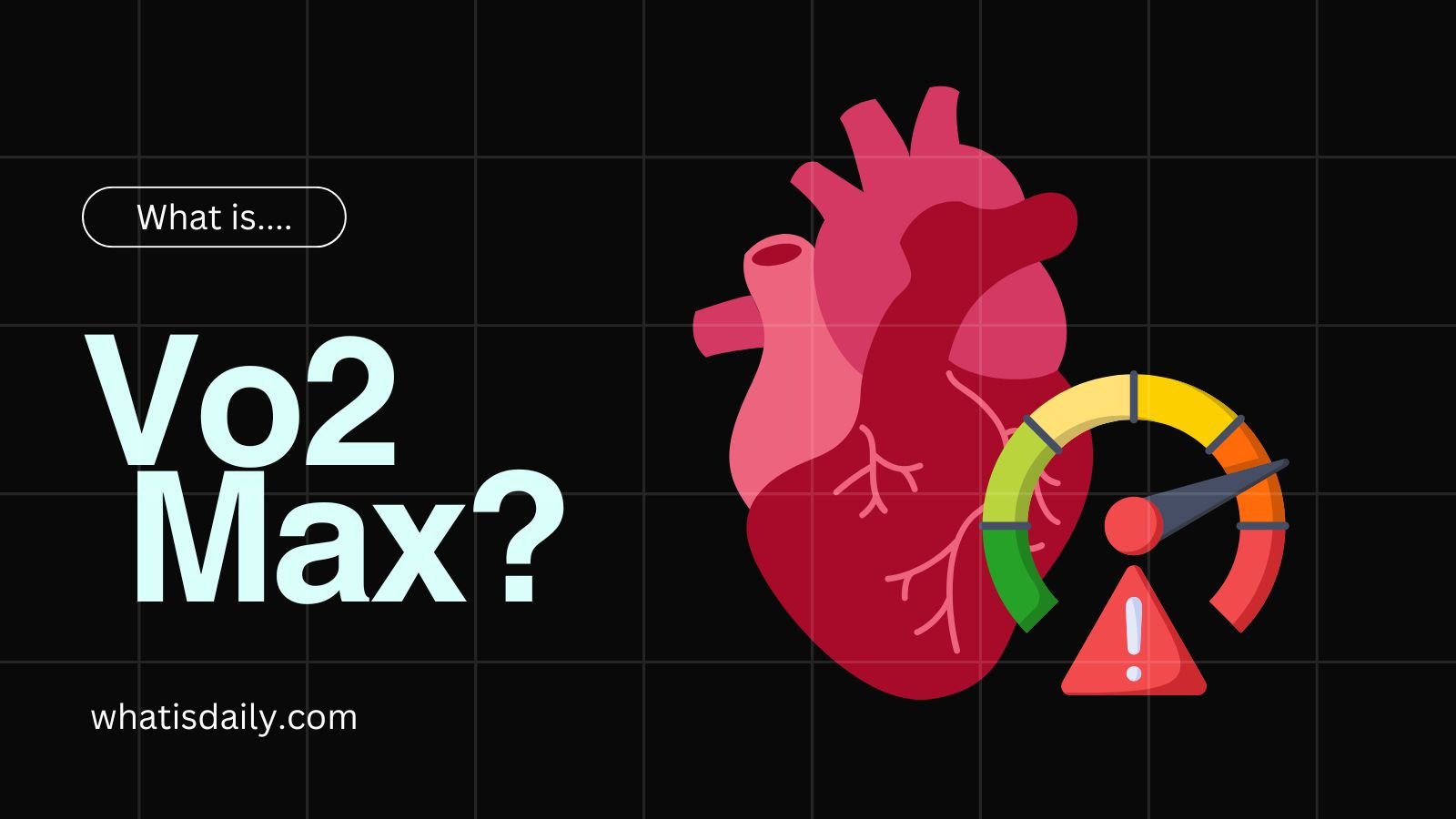 What is Vo2 Max