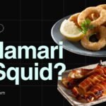 what is calamari calamri vs squid