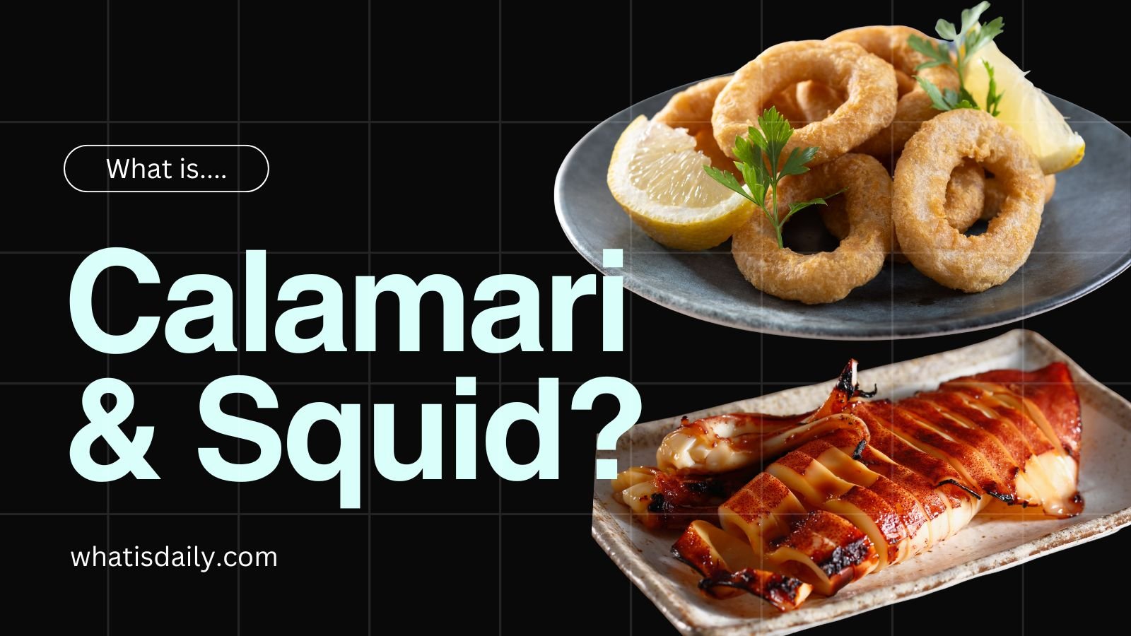 what is calamari calamri vs squid